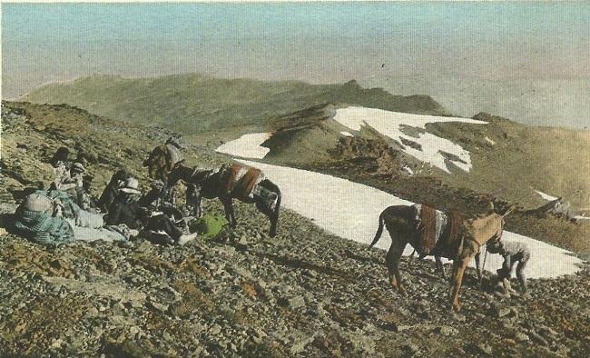 Arrieros en las laderas del Veleta en espera de cargar en la noche. 