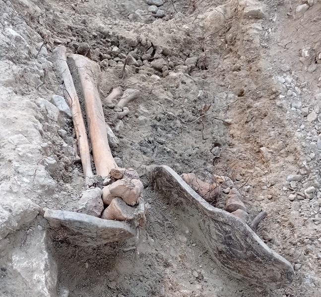 Uno de los restos óseos hallados, junto a la alpargatas que llevaba cuando fue asesinado.