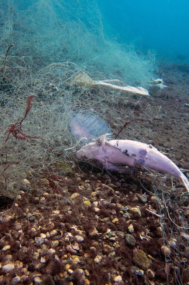 Sedal abandonado en la Punta de la Mona. 