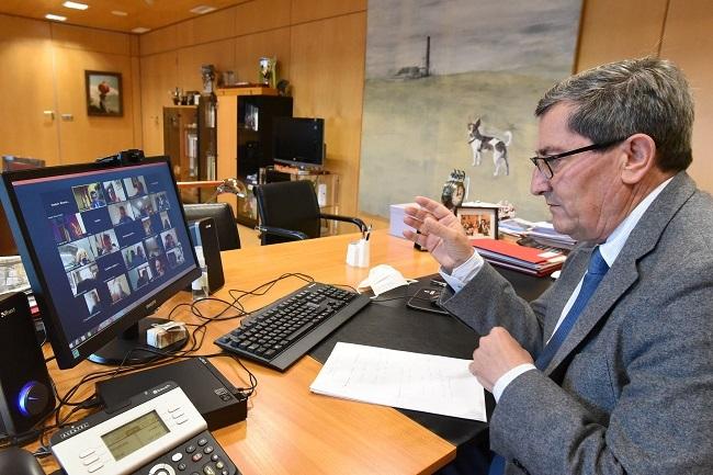 Entrena, durante la reunión telemática con alcaldes y alcaldesa de este miércoles.