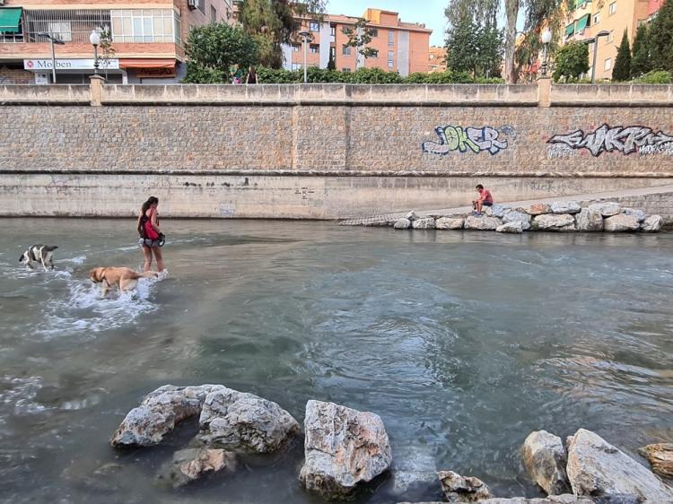 Río Genil a su paso por la ciudad antes de la llegada al embarcadero.