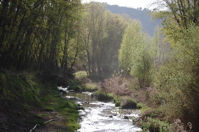 Tramo del río Genil. 