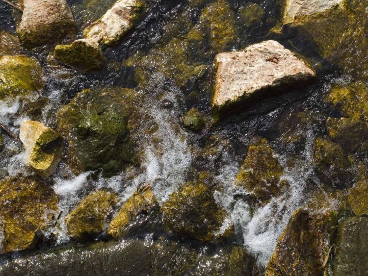 Detalle de las aguas del río Genil.