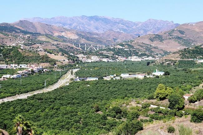 Vega de cultivos subtropicales de Almuñécar. 