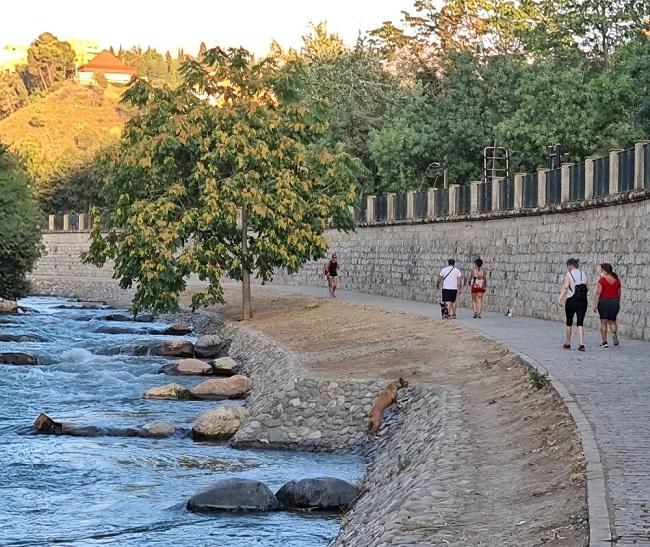 Paseantes por uno delos tramos urbanos del río Genil en Granada. 