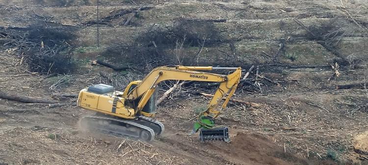 Maquinaria pesada en la zona afectada por el incendio.