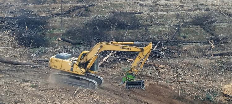 Maquinaria pesada en la zona afectada por el incendio. 