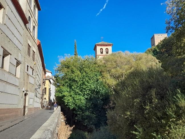 La Iglesia de San Pedro, tapada por la vegetación.