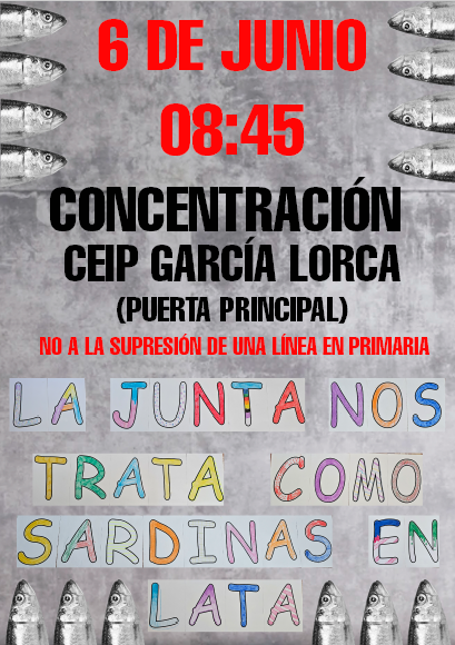 Convocatoria de la concentración.
