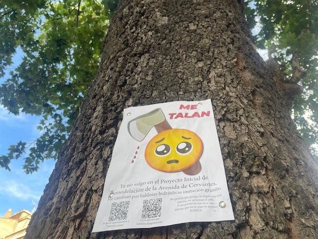 Uno de los árboles amenazados por la tala, con el cartel vecinal que lo denuncia.