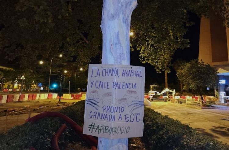 Mensaje escrito en el tronco de un árbol junto a las obras en La Chana. 