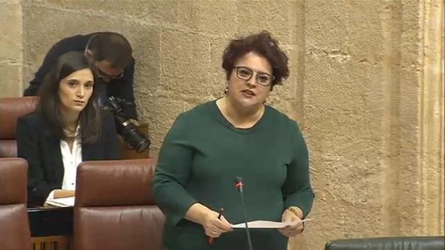 Teresa Jiménez durante su intervención en el pleno. Teresa Jiménez durante su intervención en el pleno.
