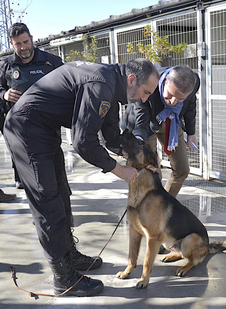 Stan Lee junto a uno de los agentes veteranos de la Unidad Canina y el concejal César Díaz. Stan Lee junto a uno de los agentes veteranos de la Unidad Canina y el concejal César Díaz.