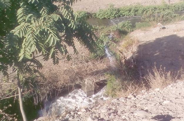 Vertidos de aguas residuales en el Genil a su paso por la Vega. 