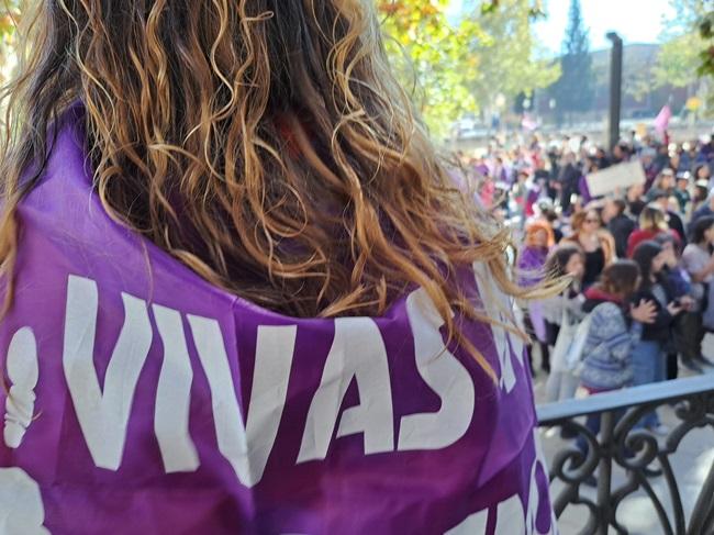 Imagen de la última manifestación del 25N en Granada.