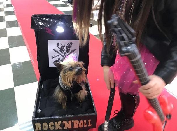 El perro ganador, el 'rockero' Yaco. 