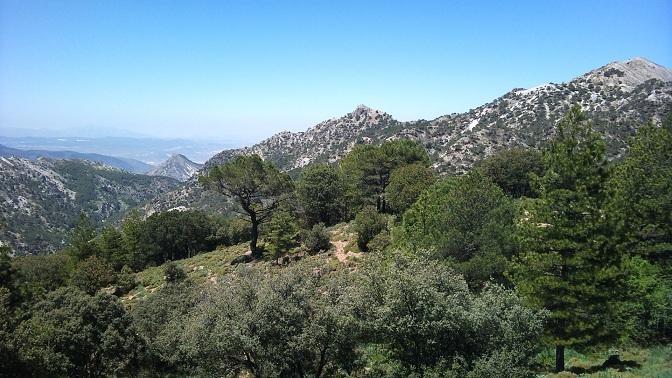 Zona de Huenes, en Sierra Nevada, término de Monachil.