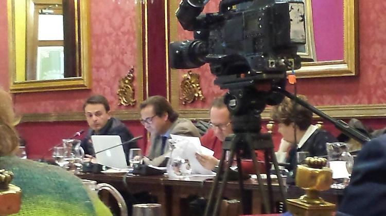 La comisión de control se ha dado un plazo máximo de un mes y medio.