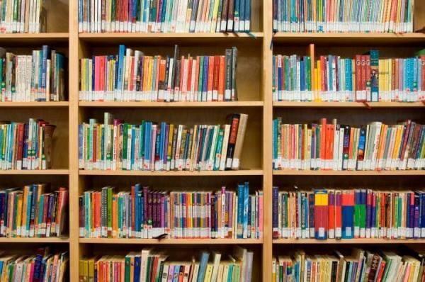 Los libros estarán 14 días en cuarentena tras cada devolución. Los libros estarán 14 días en cuarentena tras cada devolución.