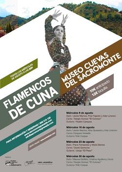 Cartel del ciclo 'Flamenco de Cuna'.