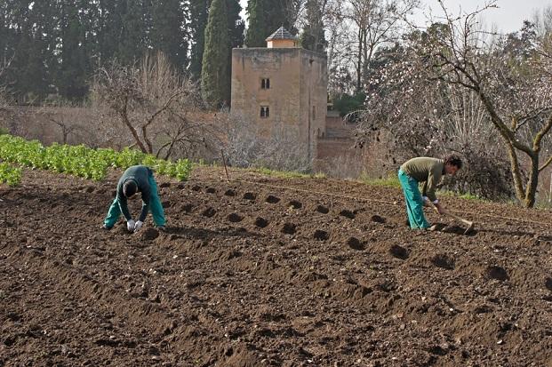 Huertas del Generalife.