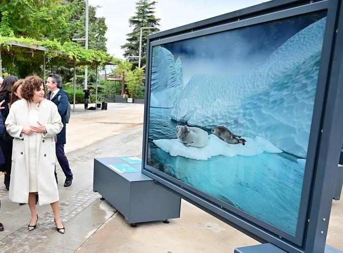 Una de las imágenes de la exposición, inaugurada este jueves. 