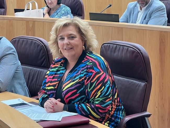 Fátima Gómez, portavoz del PSOE en la Diputación de Granada.