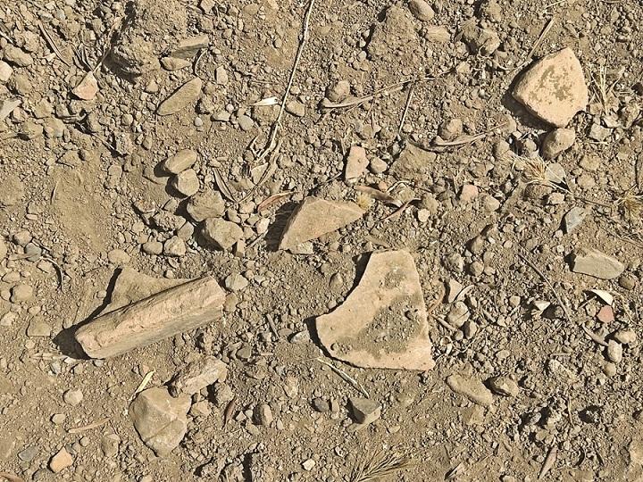 Trozos de tejas romanas aparecidos en el terreno arado.