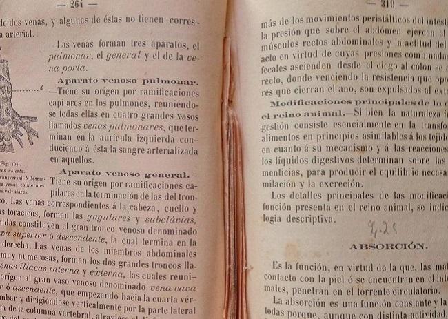 Libro censurado. Este era el libro Historia Natural de García Álvarez que se utilizaba como texto de alumnos en el Sacromonte y en el Instituto de Granada. Fue utilizado entre los años 1867 y 1872; a partir de la condena arzobispal, varias páginas (de las 265 a 318) fueron cortadas para que los alumnos no tuvieran acceso a sus contenidos. 