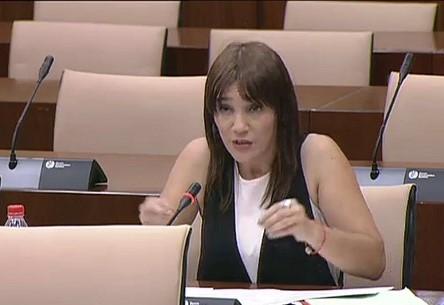 Olga Manzano en la Comisión de Cultura del Parlamento.