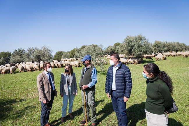 El pastor José Jiménez, en el centro, habla con responsables de Alhambra y Junta, y al fondo sus ovejas. 