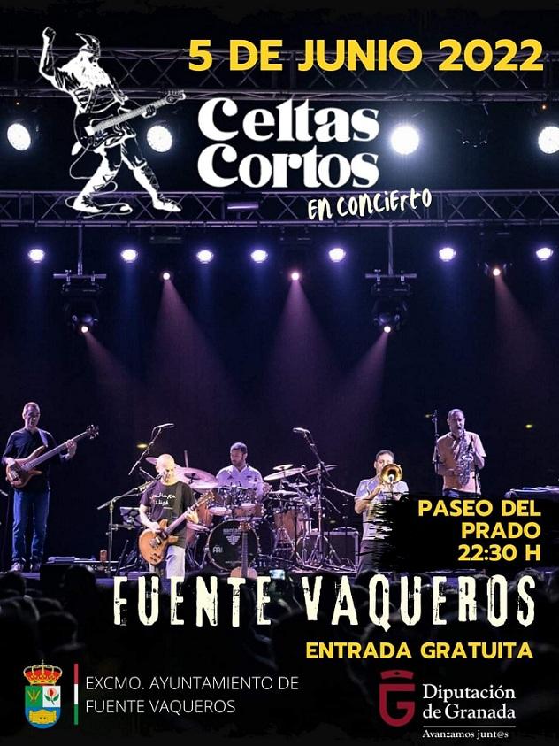 Cartel del concierto. 