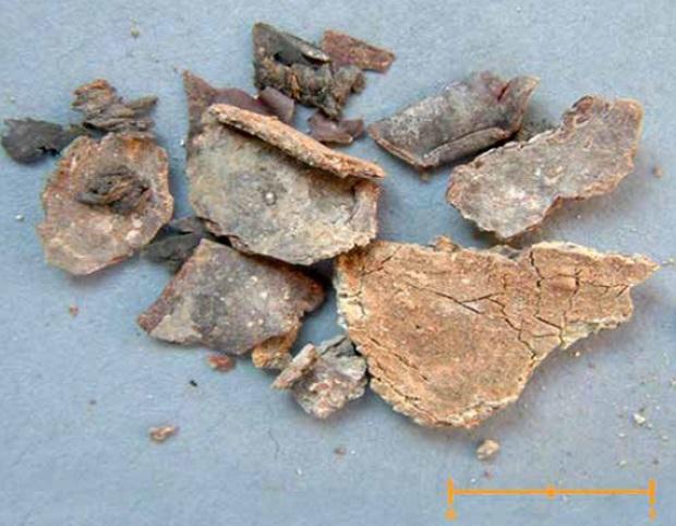 Restos de plomo carbonatado y yeso procedentes de la urna fúnebre revueltos con los huesos de Cristóbal Colón. 