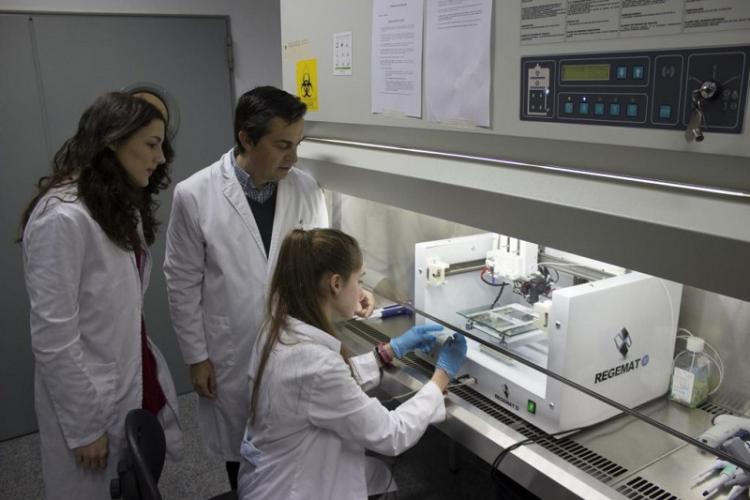 Equipo de investigación del profesor Marchal. Equipo de investigación del profesor Marchal.