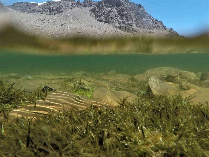 Impactante imagen de la Laguna de Nájera, que muestra la vegetación sumergida tras el deshielo.