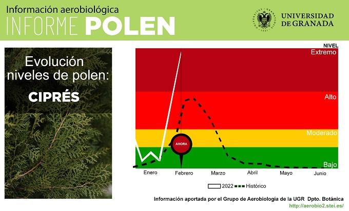 Evolución del polen del ciprés en Granada.