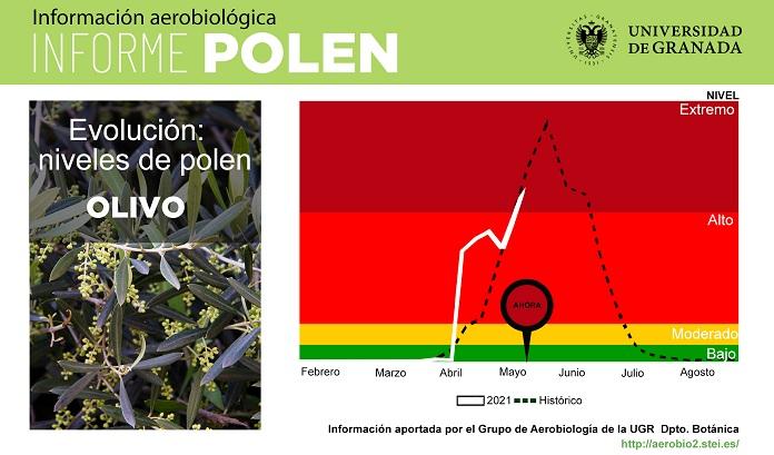 Gráfico con el estado del polen del olivo. 