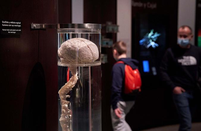 El parque celebra la Semana Internacional del Cerebro