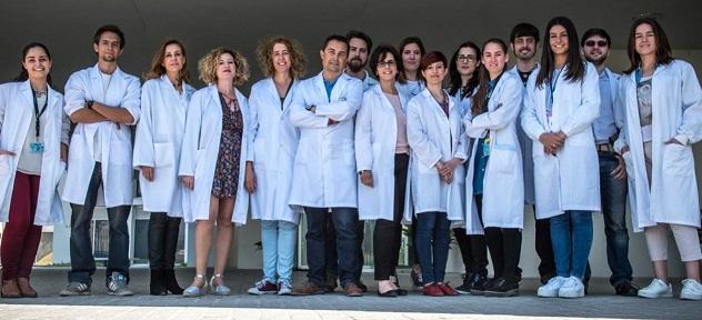 Equipo que ha participado en la investigación. 