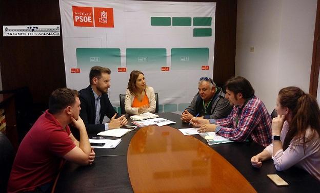 Reunión de los colectivos con el grupo del PSOE. 