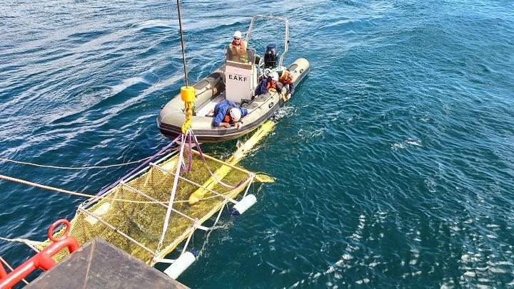 Recogida del vehículo submarino autónomo del Instituto Marino de Flandes tras unas de sus inmersiones en el cañón submarino de Carchuna.