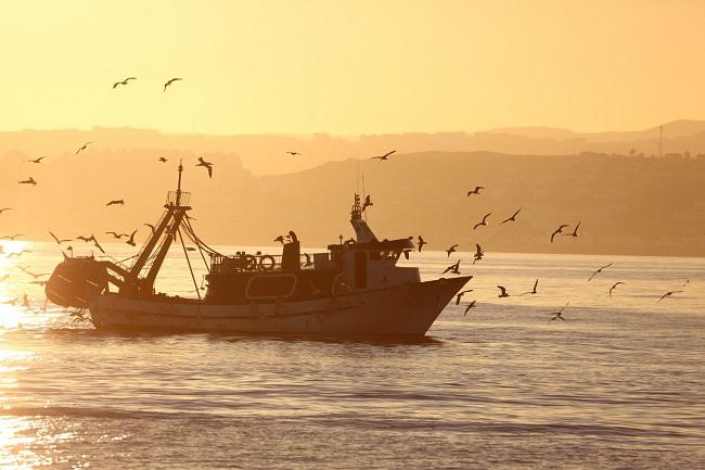Barco de pesca.