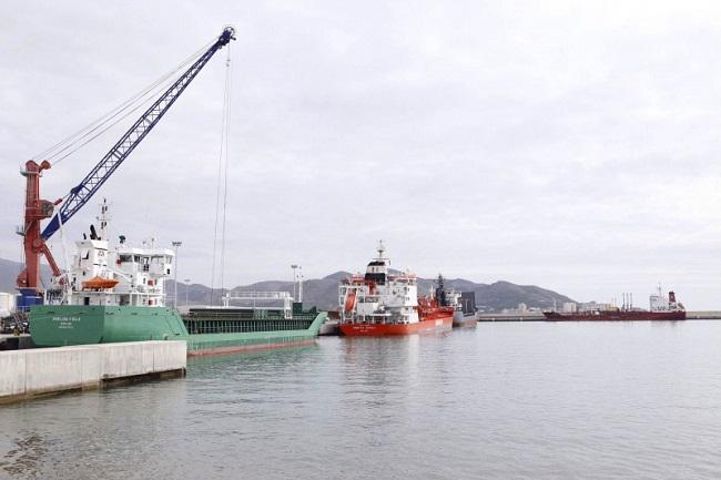 Buques atracados en el muelle de las Azucenas y el contradique.