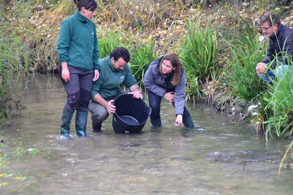 La delegada de Medio Ambiente en la suelta de los cangrejos. La delegada de Medio Ambiente en la suelta de los cangrejos.