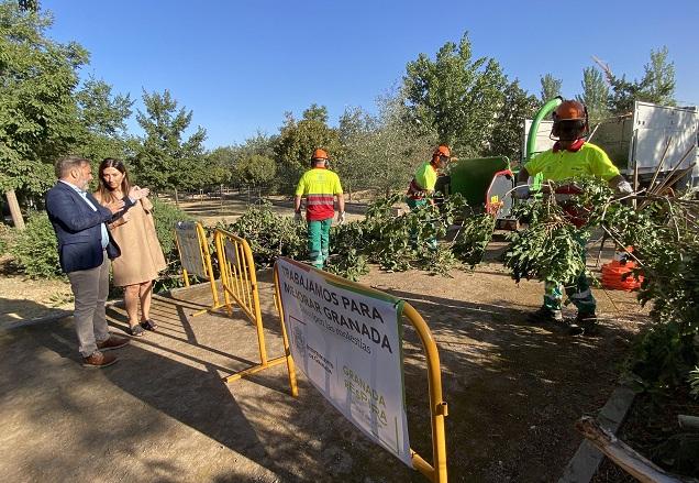 Retirada de residuos de jardinería. 