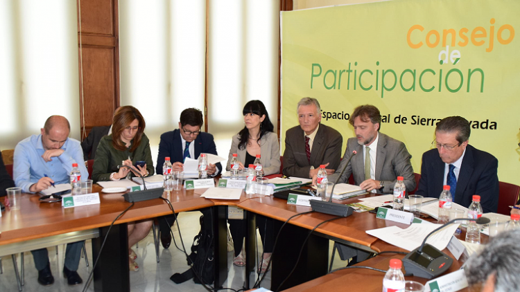 Una de las reuniones del Consejo de Participación con Mayor Zaragoza de presidente.