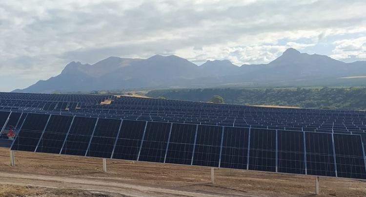 Parte de los más de 60.000 paneles fotovoltaicos que componen la megaplanta Cubillas. 