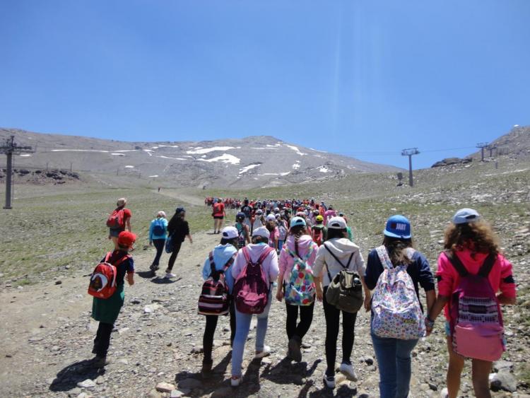 Excursión por los parajes de la estación.