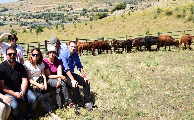 Visita a una ganadería de vacas pajunas en Bérchules.