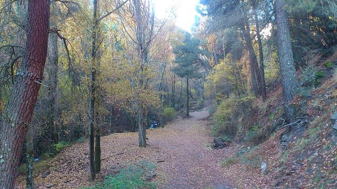 El sendero por el que discurre la ruta es especialmente bello en otoño.